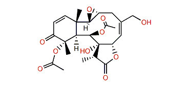 Erythrolide H